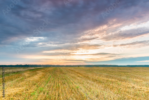 Рассвет в поле после сбора урожая