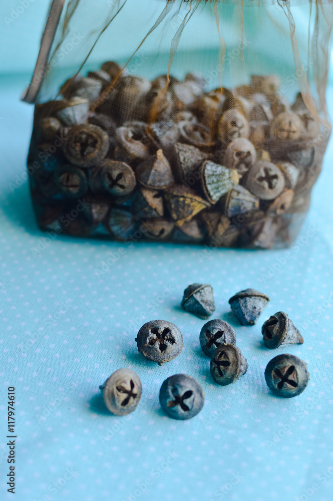 Closeup on eucalyptus seeds on table background Closeup on eucalyptus seeds on table background