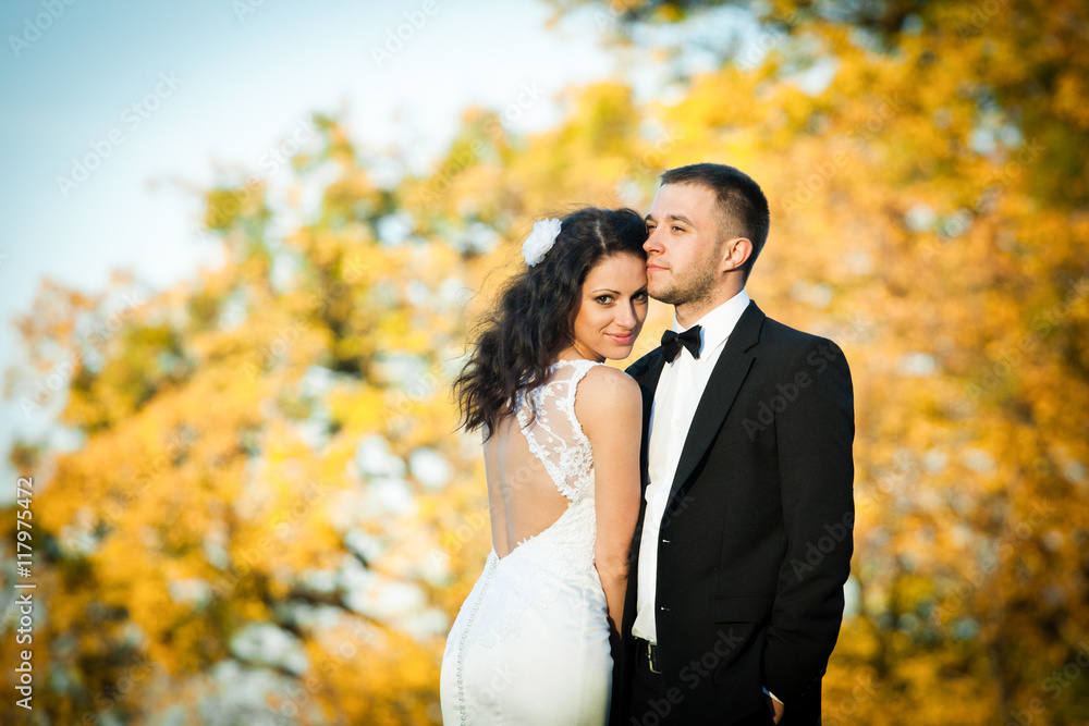 Curly brunette bride in a gown with open back leans to a groom Curly brunette bride in a gown with open back leans to a groom