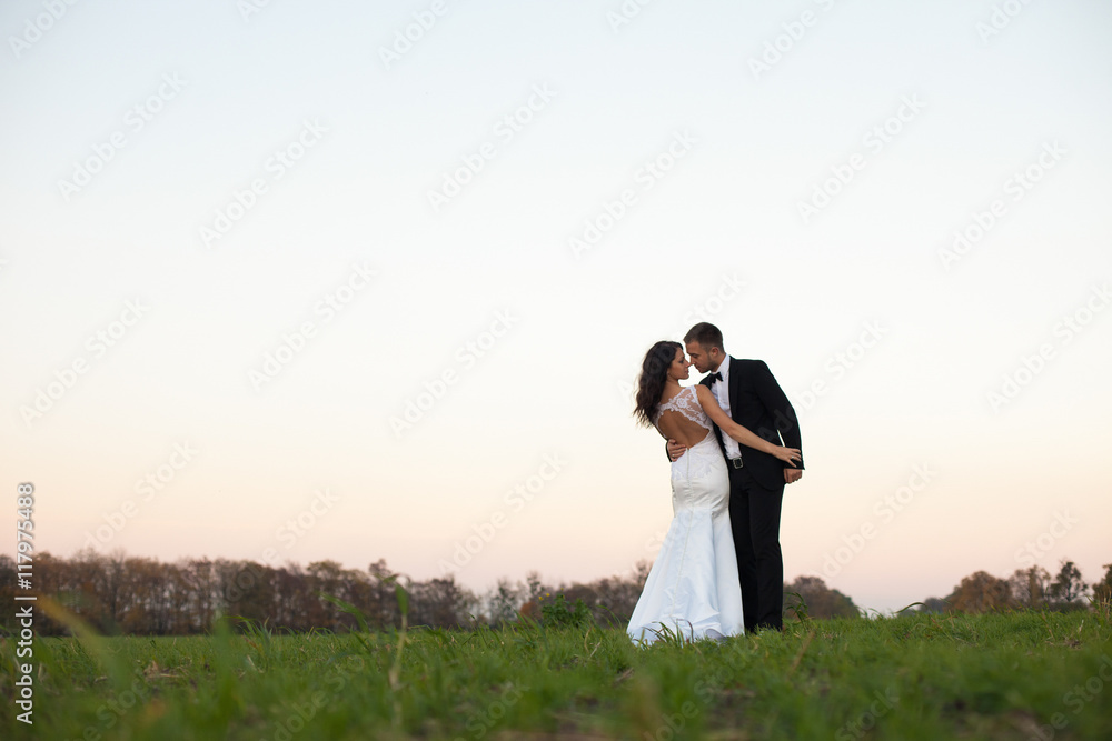Groom hugs a stylish bride in open-back gown on the field Groom hugs a stylish bride in open-back gown on the field