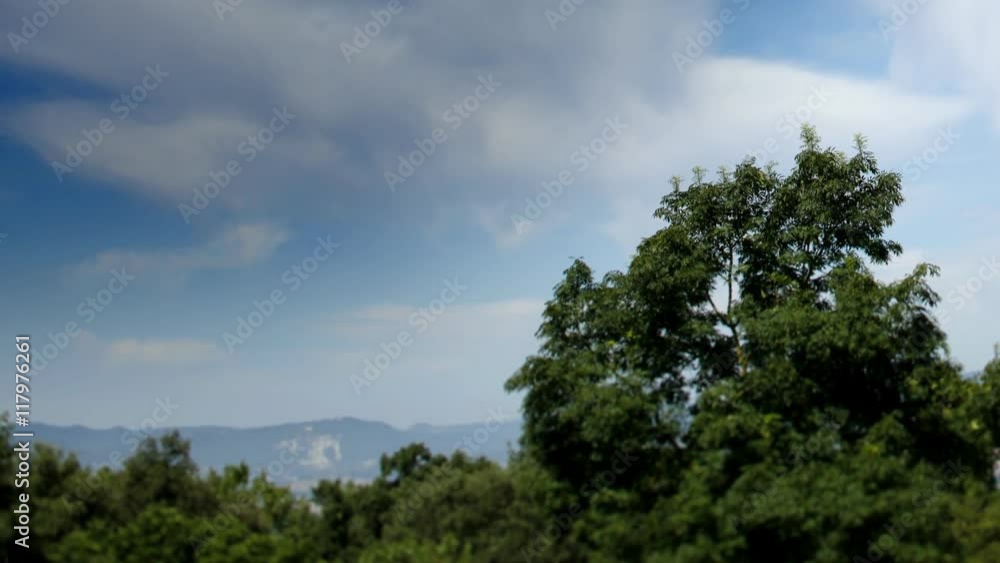trees and clouds at the pyrennes mountains trees and clouds at the pyrennes mountains
