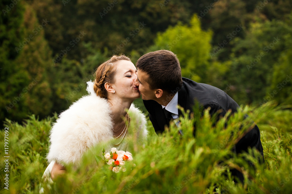 Groom kisses a bride in fur shawl bending over the bushes Groom kisses a bride in fur shawl bending over the bushes