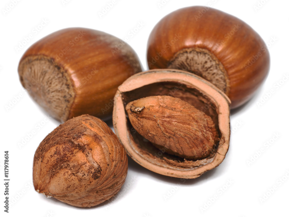 Geknackte Haselnüsse