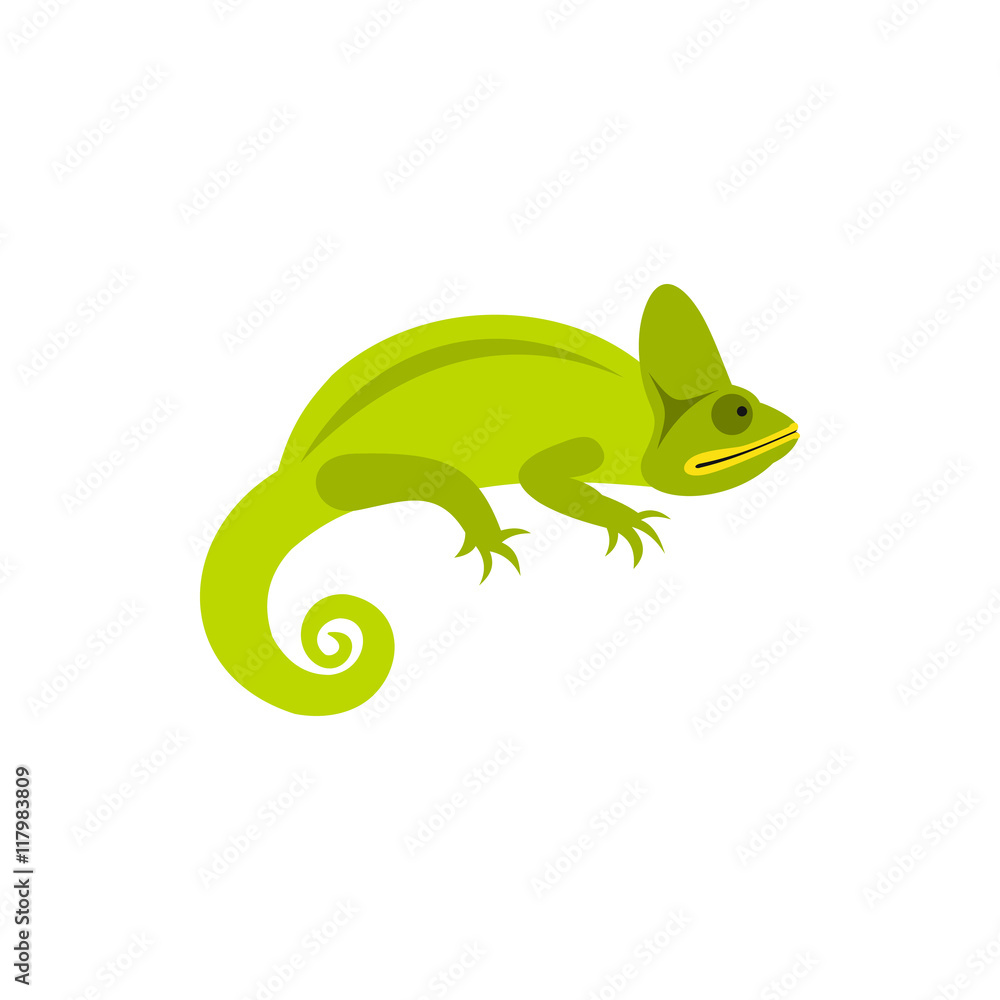 Chameleon icon in flat style on a white background Chameleon icon in flat style on a white background