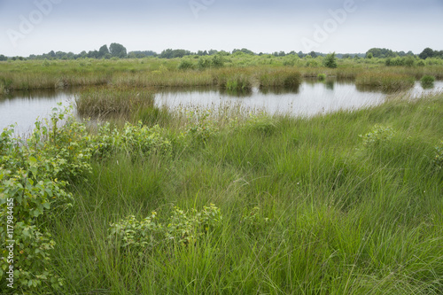 Принти на полотні Moorlandschaft Ewiges Meer, Ostfriesland, Niedersachsen, Deutschland