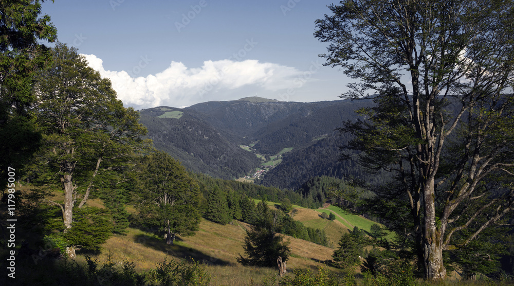 Blick zum Feldberg im Schwarzwald Blick zum Feldberg im Schwarzwald