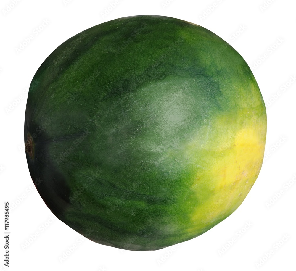 Wassermelone Wassermelone