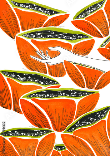 poppies background