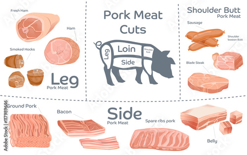 Collection pork meat cut. Leg, Side, shoulder butt. Processed Agricultural Products. Guide shopping in supermarket.