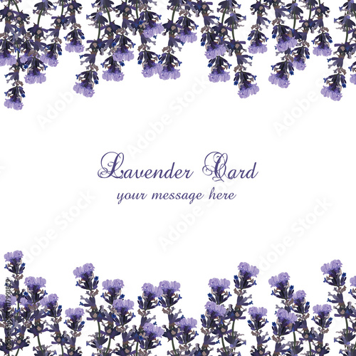 Lavender Card decorated Border. Gentle blossom floral Lavanda bouquet. Vintag...