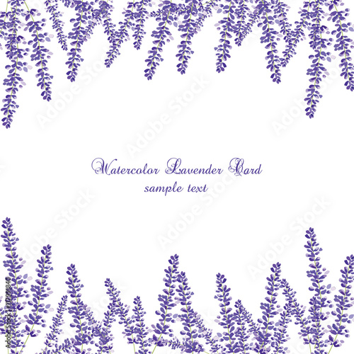 Lavender Card Border Vector. Gentle blossom floral bouquet. Vintage Label wit...