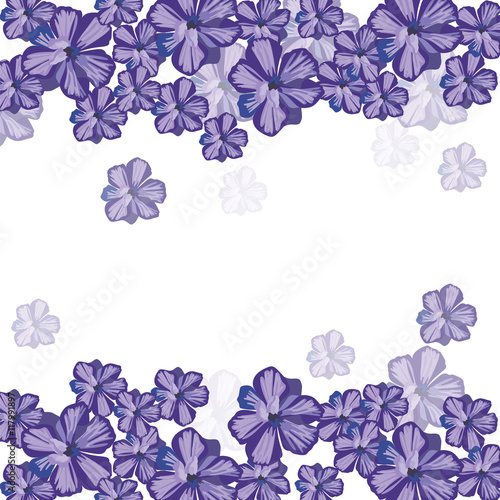 Spring Summer floral greeting card Vector. Invitation note for wedding  birthday or other holiday. Summer purple flowers background
