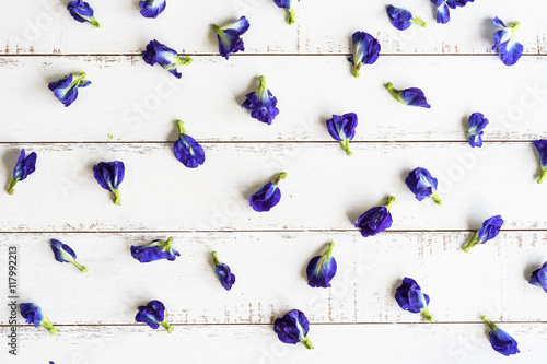 Butterfly pea or blue pea flower on white wooden table
