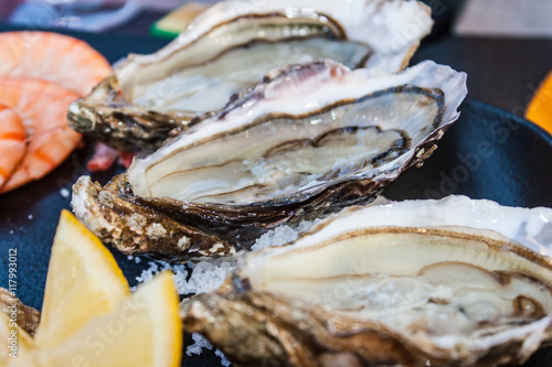 fresh oysters straight from the sea to market in France