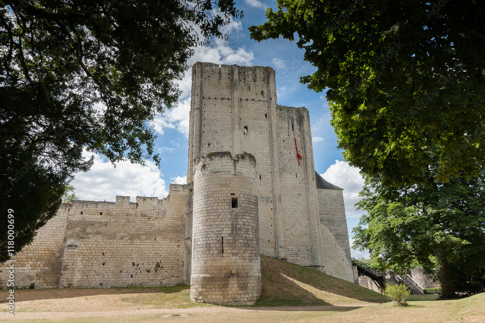 Castle and donjon of the French city of loches, france, Loire va Castle and donjon of the French city of loches, france, Loire va