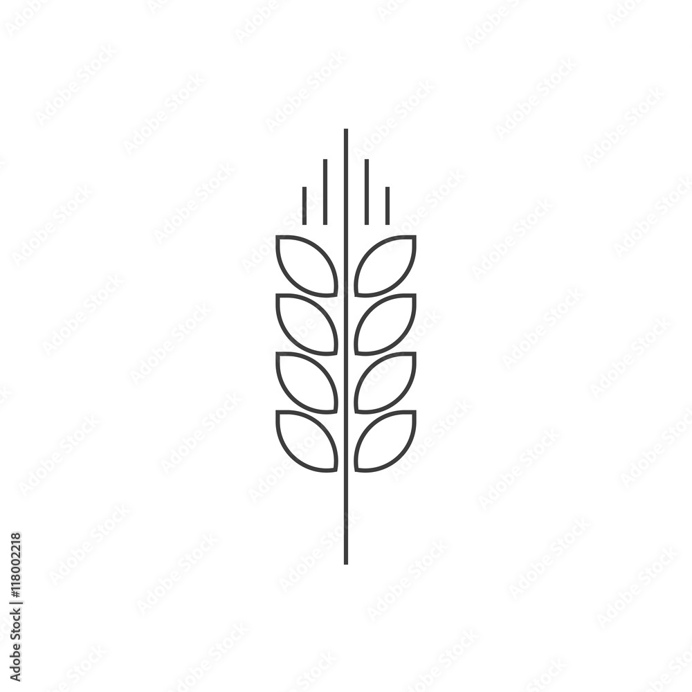 Wheat spike vector logo isolated on white, grain ear icon element for organic food design, outline thin line style black spica symbol