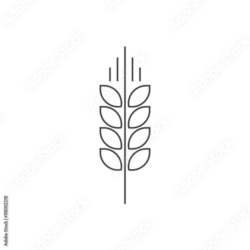 Wheat spike vector logo isolated on white, grain ear icon element for organic food design, outline thin line style black spica symbol