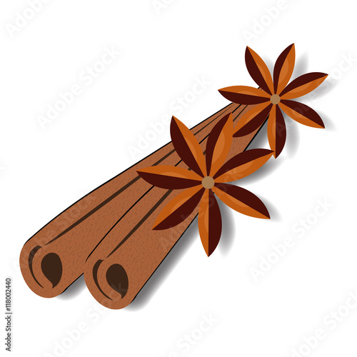 Cinnamon sticks and flower. Cinnamon spice. Vector illustration