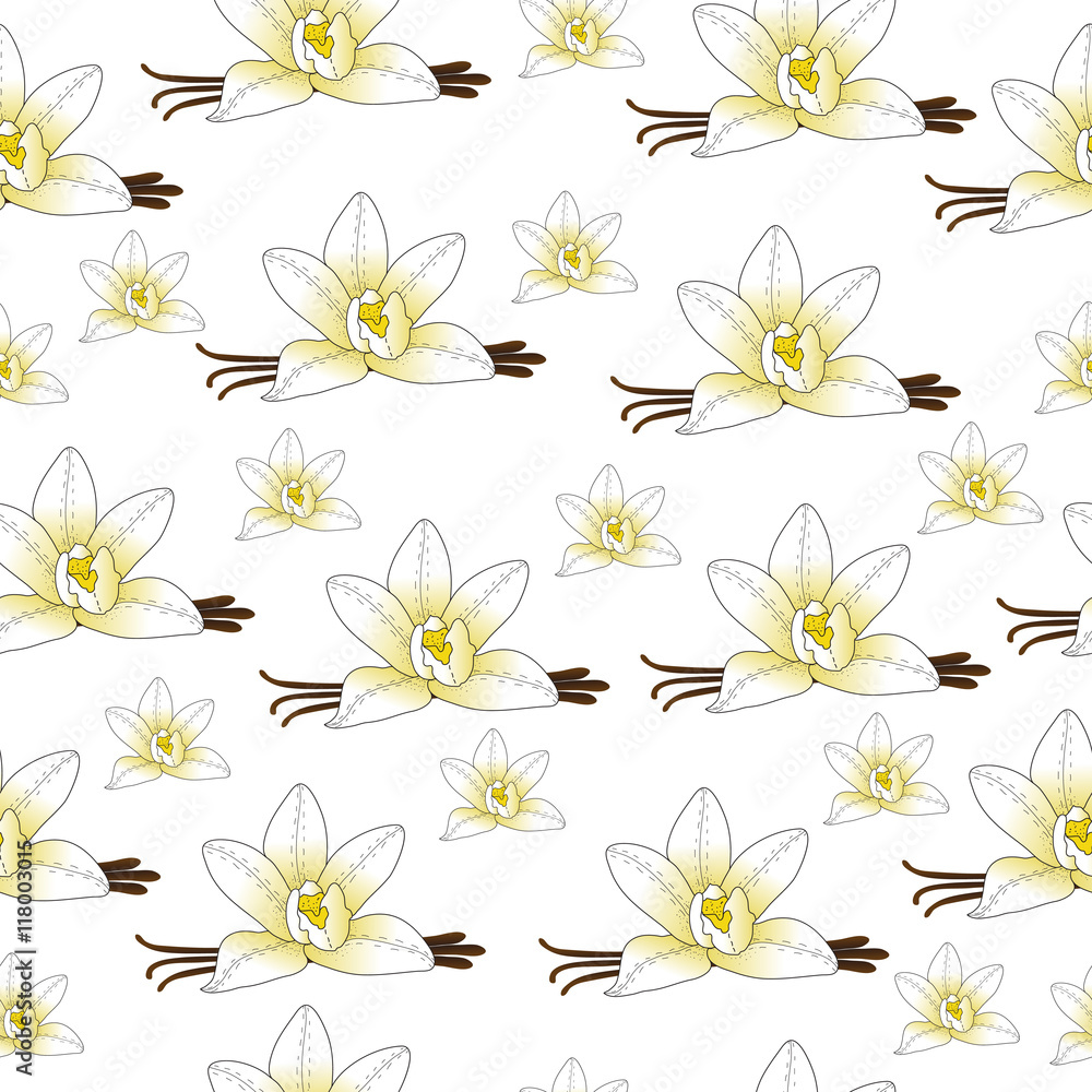 Vanilla flower seamless texture, vanilla background, wallpaper. Vector illustration