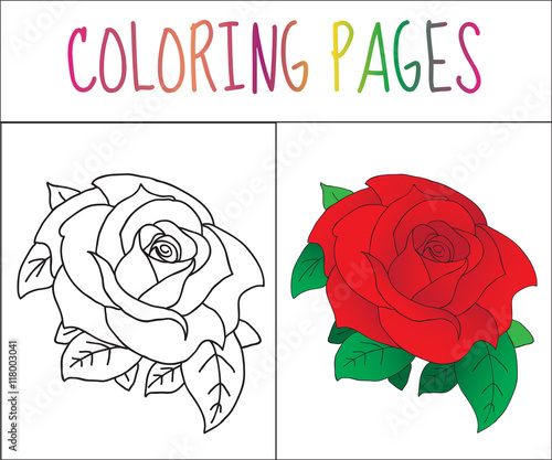 Coloring book page, Rose. Sketch and color version. Coloring for kids. Vector illustration