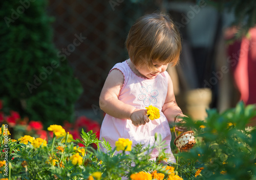 Girl picking flowers