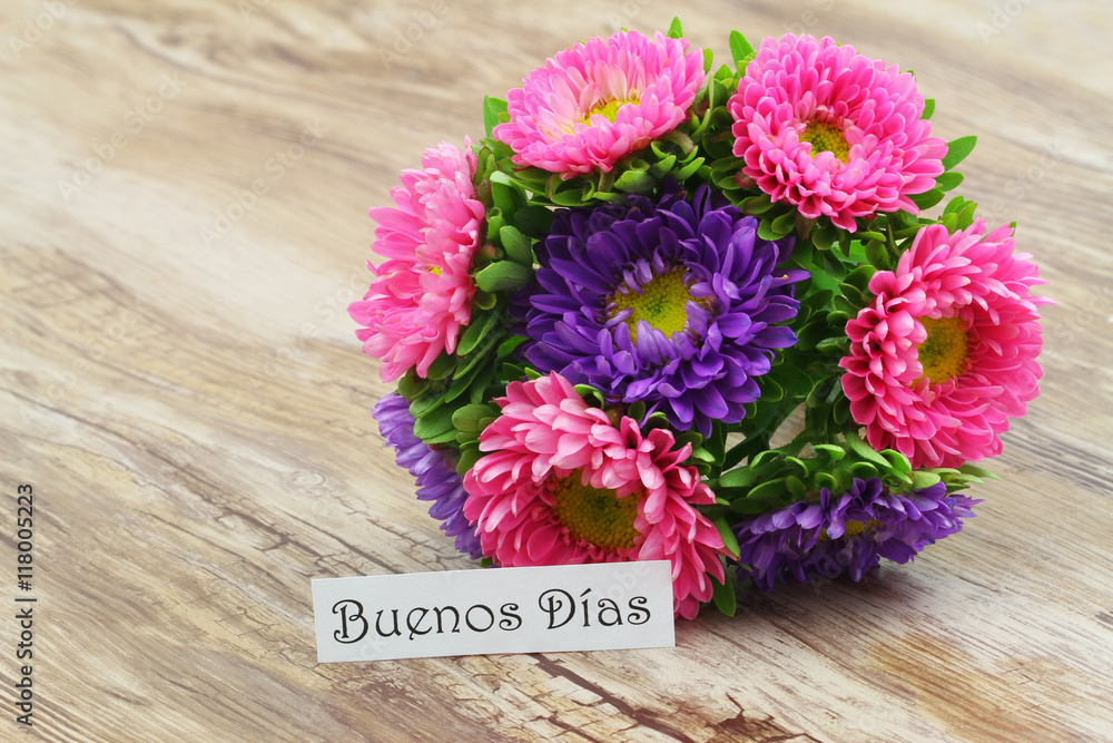 Daisy Flower In Spanish Best Flower Site