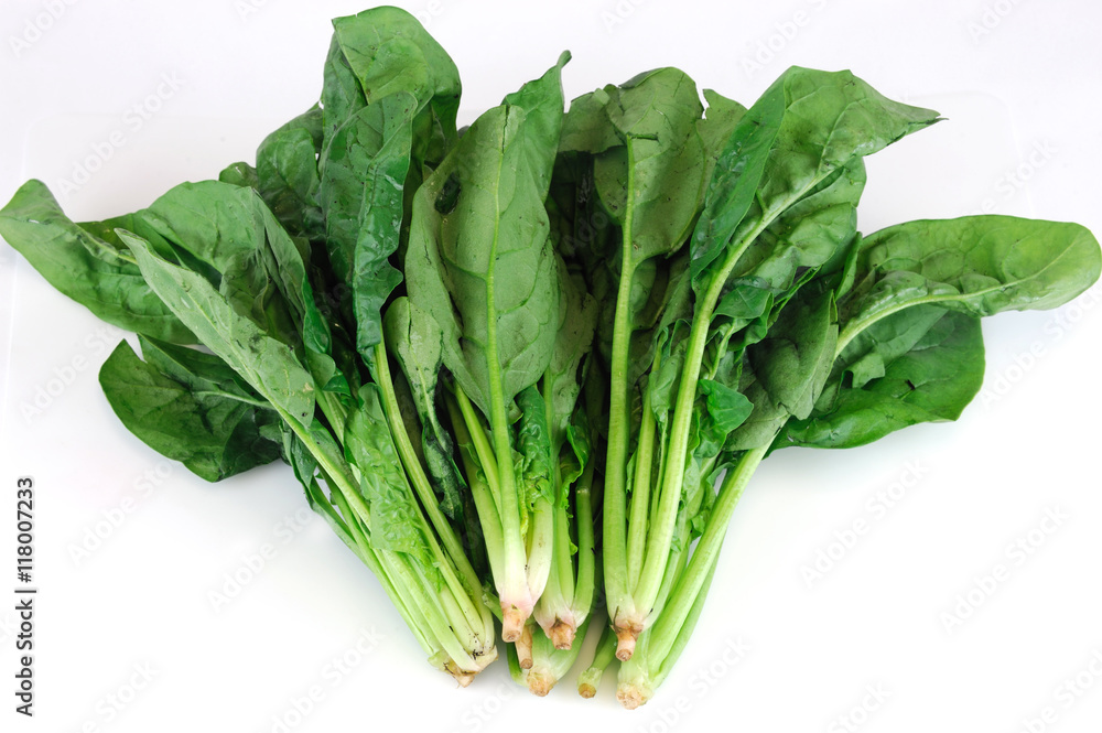 fresh green spinach on white background fresh green spinach on white background