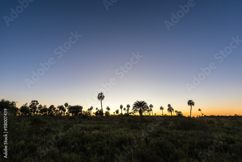 Sunrise on El Palmar National Park, Argentina