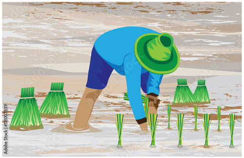 agriculturist transplant rice seedlings vector design