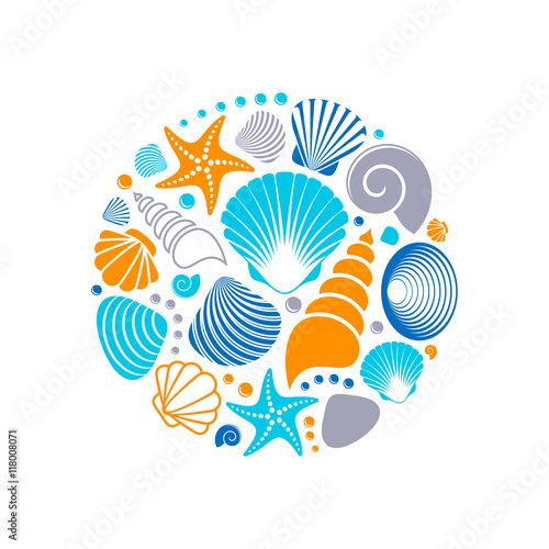 Colorful vector summer sea shells