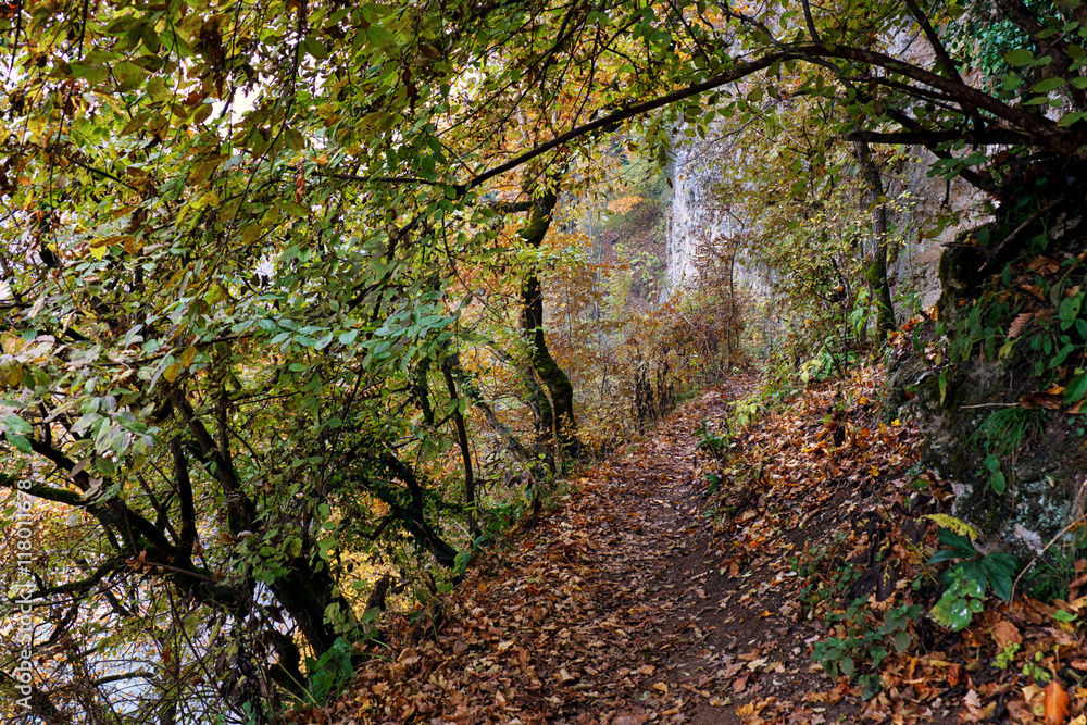 Obraz premium Autumn landscape in warm colors. Path along trees, rocks and cliff