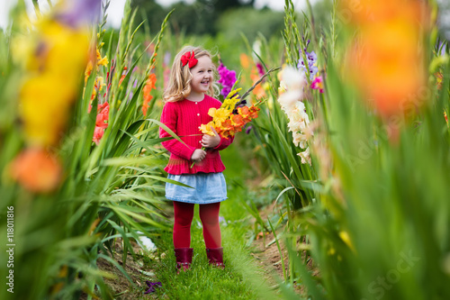 Child picking fresh gladiolus flowers