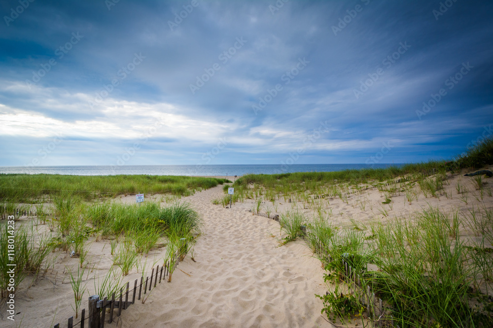 Fence and path through sand dunes at Race Point, in the Province Fence and path through sand dunes at Race Point, in the Province