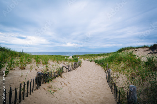 Fence and path through sand dunes at Race Point  in the Province