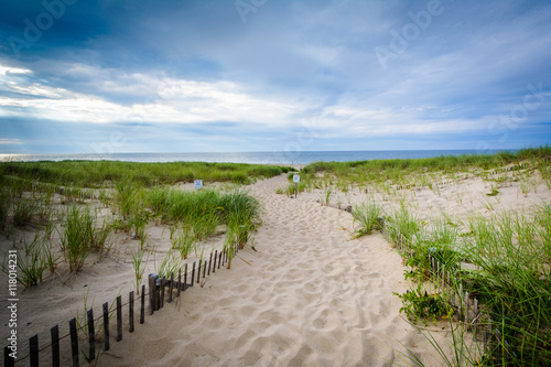 Fence and path through sand dunes at Race Point  in the Province