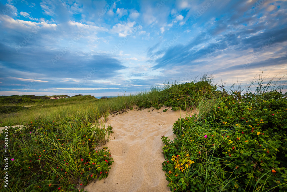 Sand dunes in the Province Lands at Cape Cod National Seashore,