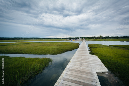 The Sandwich Boardwalk and a wetland, in Sandwich, Cape Cod, Mas