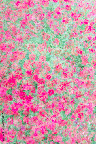 Abstract double exposure image with blurred impatiens flowers, n