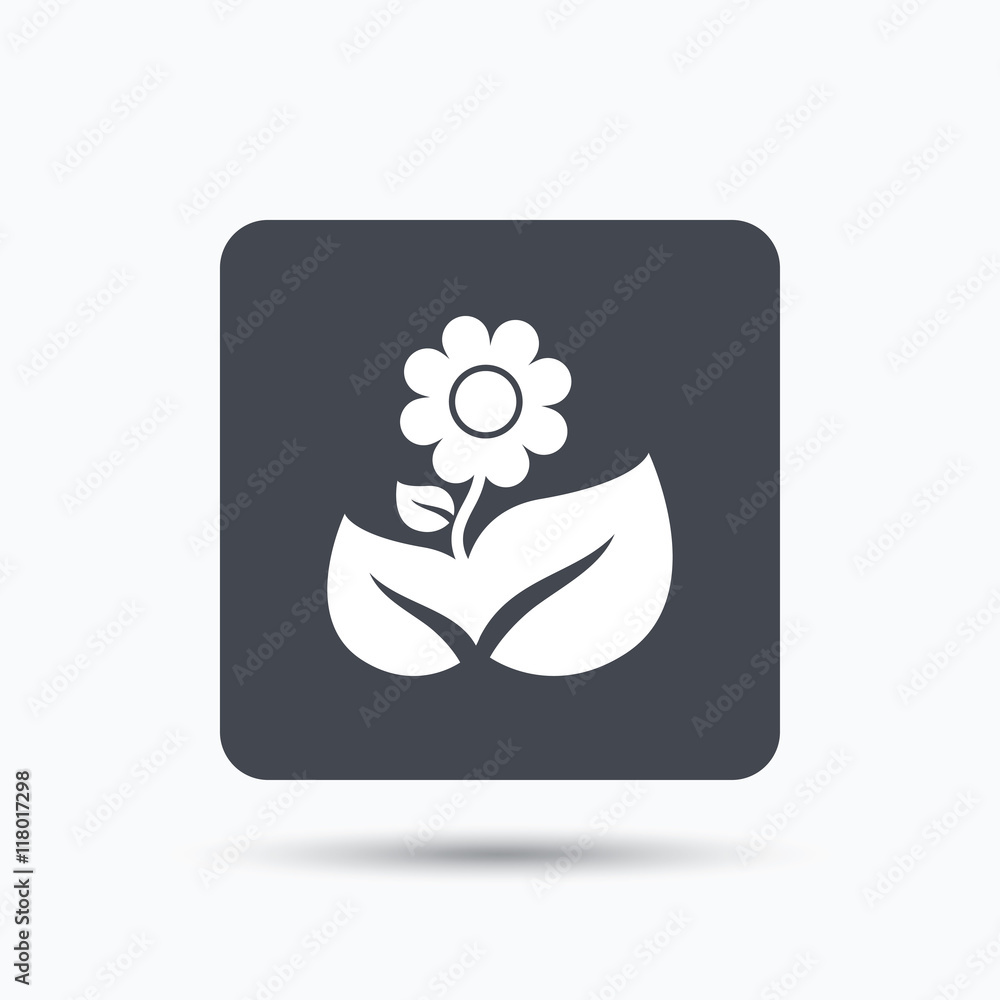 Flower icon. Florist plant with leaf sign. Flower icon. Florist plant with leaf sign.