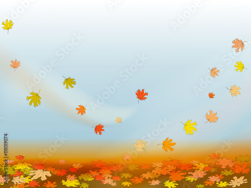 Fototapeta Naklejka Na Ścianę i Meble -  Autumn background with colorful maple leaves