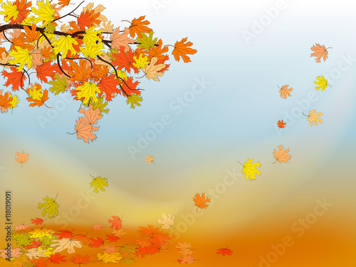 Autumn background with colorful maple leaves