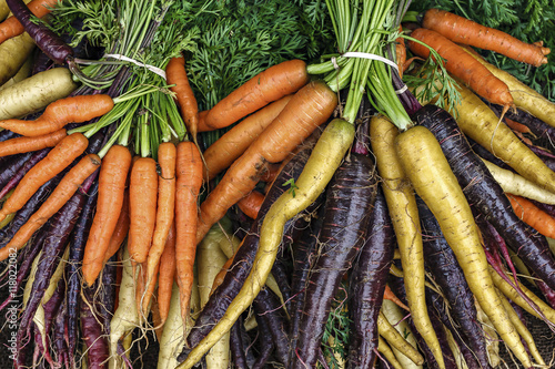 Colorful organic carrots at an outdoor farmers market in Seattle.