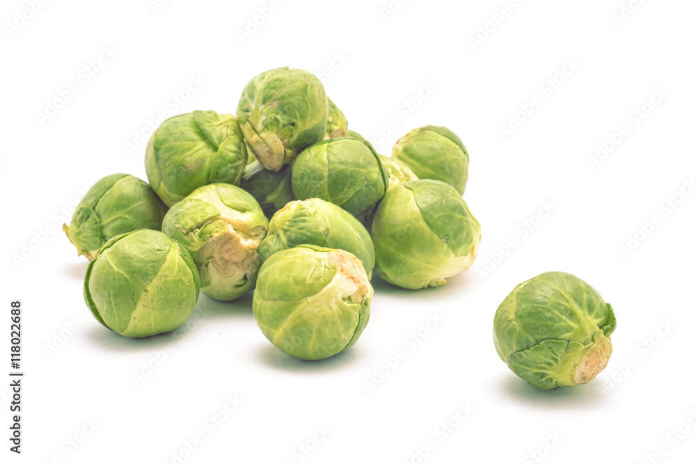 Fototapeta premium brussel cabbage