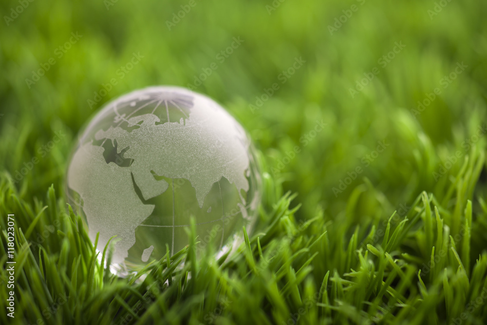 Crystal globe on green grass. World environmental concept. Crystal globe on green grass. World environmental concept.
