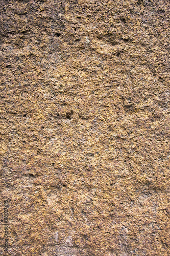 Laterite brick texture