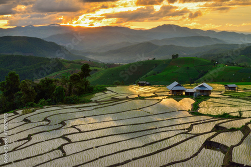 Terraced rice and landscape  Chiang Mai
