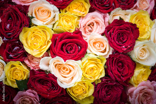 bouquet of roses with dew drops