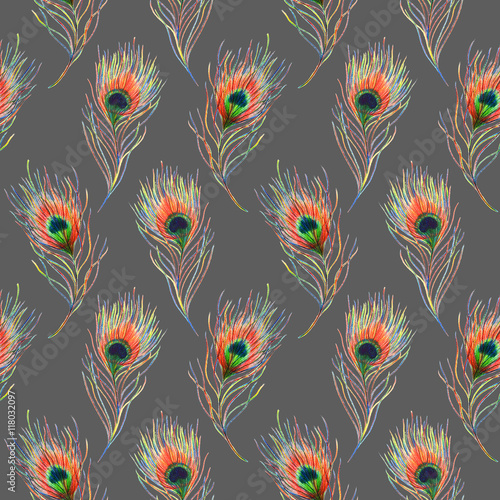 Wallpaper Mural Rainbow colorful peacock bird feather seamless pattern background texture Torontodigital.ca