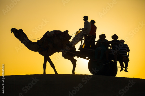 Rajasthan travel background - camel silhouette with the wagon in dunes of Thar desert on sunset. Jaisalmer, Rajasthan, India