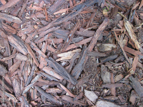 bark pieces texture